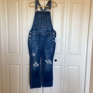 American Eagle Outfitters Overalls NWT New sz L Large Distressed
